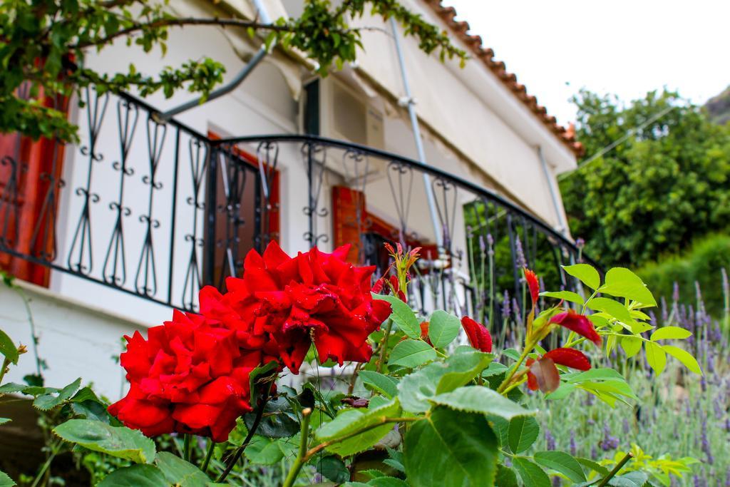 Guesthouse Lykourgos Mavrommátion Eksteriør bilde